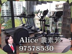 Robin Suites (D10), Apartment #117337672